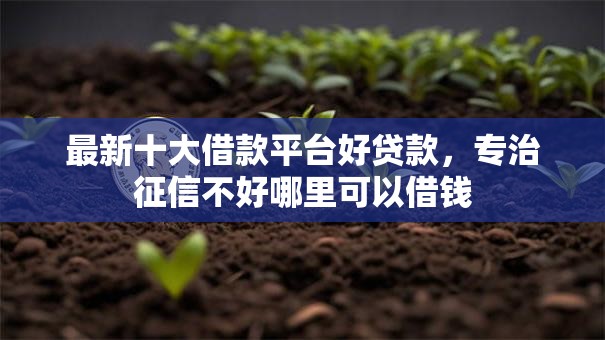 最新十大借款平台好贷款，专治征信不好哪里可以借钱