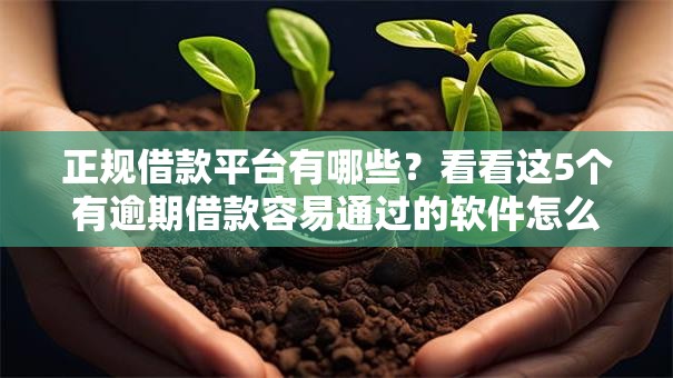 正规借款平台有哪些？看看这5个有逾期借款容易通过的软件怎么样