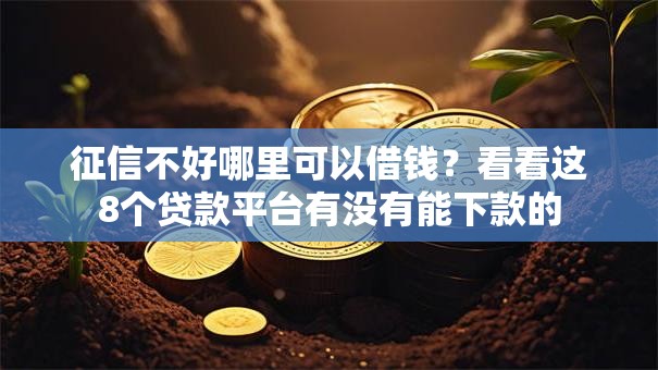 征信不好哪里可以借钱?看看这8个贷款平台有没有能下款的 征信不好哪里可以借钱?看看这8个贷款平台有没有能下款的
