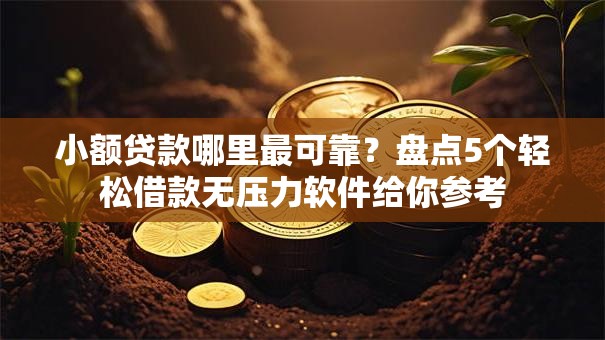 小额贷款哪里最可靠?盘点5个轻松借款无压力软件给你参考 小额贷款哪里最可靠?盘点5个轻松借款无压力软件给你参考