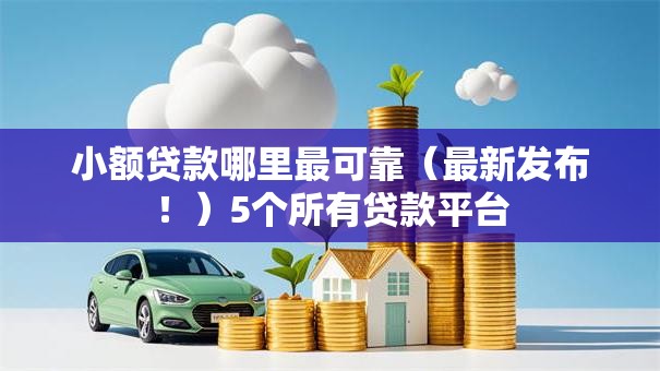 小额贷款哪里最可靠（最新发布！）5个所有贷款平台