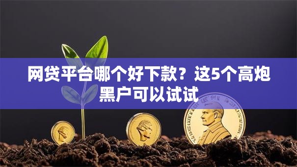网贷平台哪个好下款?这5个高炮黑户可以试试 网贷平台哪个好下款?这5个高炮黑户可以试试