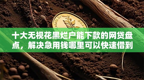 十大无视花黑烂户能下款的网贷盘点，解决急用钱哪里可以快速借到的问题