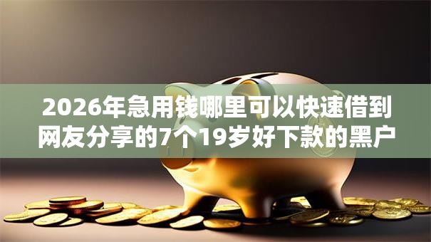 2026年急用钱哪里可以快速借到网友分享的7个19岁好下款的黑户借钱平台我觉得不错！