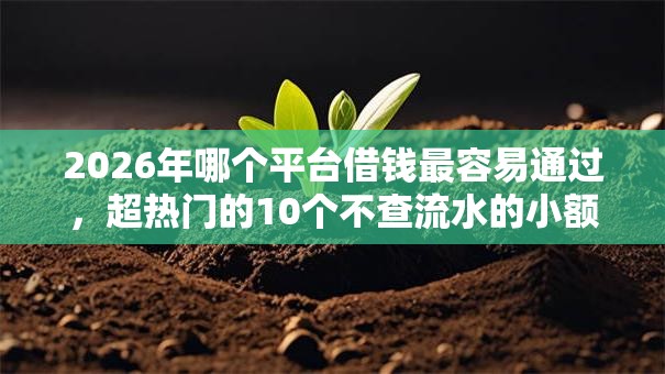 2026年哪个平台借钱最容易通过,超热门的10个不查流水的小额度贷款平台推荐 2026年哪个平台借钱最容易通过,超热门的10个不查流水的小额度贷款平台推荐