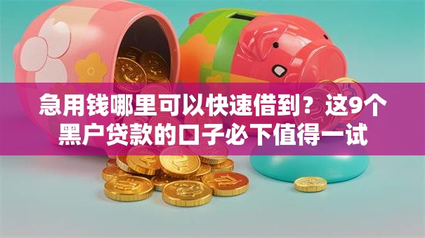 急用钱哪里可以快速借到？这9个黑户贷款的口子必下值得一试