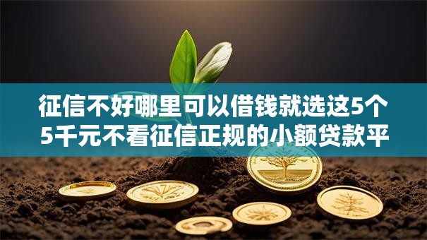 征信不好哪里可以借钱就选这5个5千元不看征信正规的小额贷款平台 征信不好哪里可以借钱就选这5个5千元不看征信正规的小额贷款平台