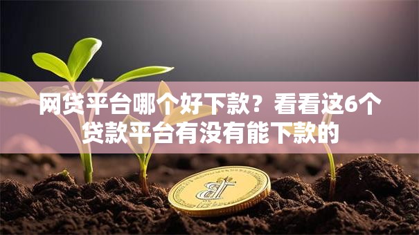 网贷平台哪个好下款?看看这6个贷款平台有没有能下款的 网贷平台哪个好下款?看看这6个贷款平台有没有能下款的