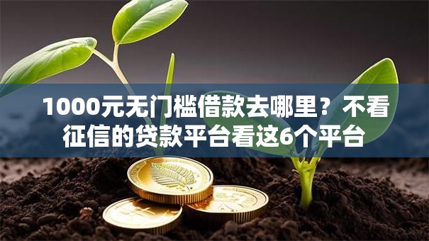 1000元无门槛借款去哪里？不看征信的贷款平台看这6个平台
