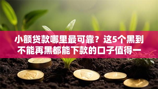 小额贷款哪里最可靠?这5个黑到不能再黑都能下款的口子值得一试 小额贷款哪里最可靠?这5个黑到不能再黑都能下款的口子值得一试