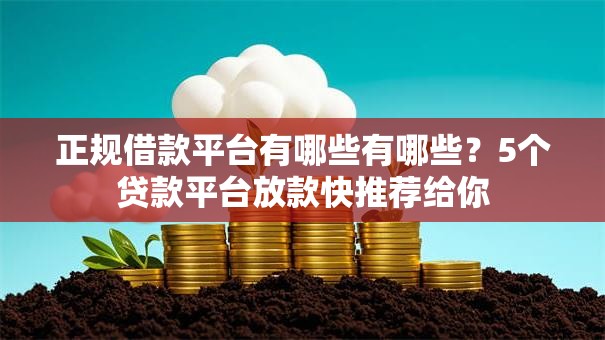 正规借款平台有哪些有哪些？5个贷款平台放款快推荐给你