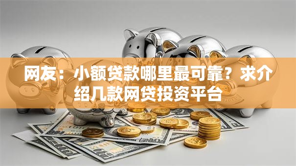 网友：小额贷款哪里最可靠？求介绍几款网贷投资平台