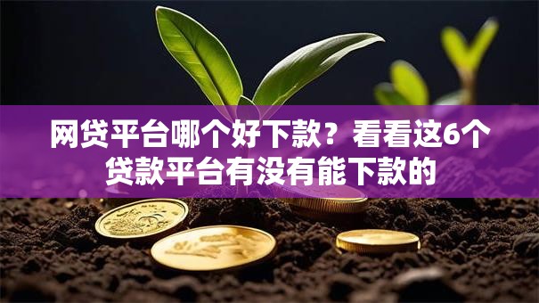 网贷平台哪个好下款？看看这6个贷款平台有没有能下款的