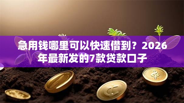 急用钱哪里可以快速借到？2026年最新发的7款贷款口子