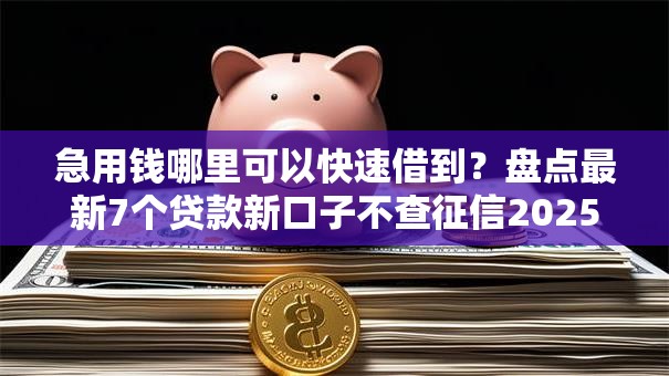 急用钱哪里可以快速借到?盘点最新7个贷款新口子不查征信2025 急用钱哪里可以快速借到?盘点最新7个贷款新口子不查征信2025