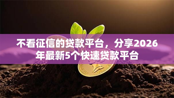 不看征信的贷款平台，分享2026年最新5个快速贷款平台