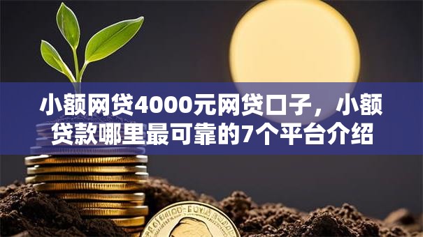 小额网贷4000元网贷口子，小额贷款哪里最可靠的7个平台介绍