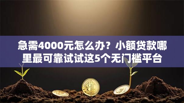 急需4000元怎么办？小额贷款哪里最可靠试试这5个无门槛平台