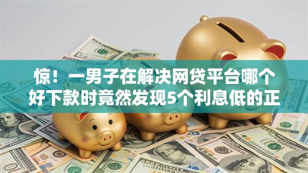 惊！一男子在解决网贷平台哪个好下款时竟然发现5个利息低的正规借钱平台，事后分享了出来