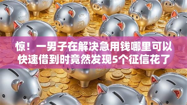 惊！一男子在解决急用钱哪里可以快速借到时竟然发现5个征信花了还能借钱的平台，事后分享了出来