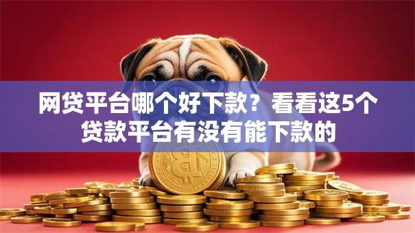 网贷平台哪个好下款？看看这5个贷款平台有没有能下款的