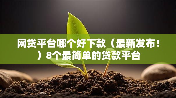 网贷平台哪个好下款（最新发布！）8个最简单的贷款平台
