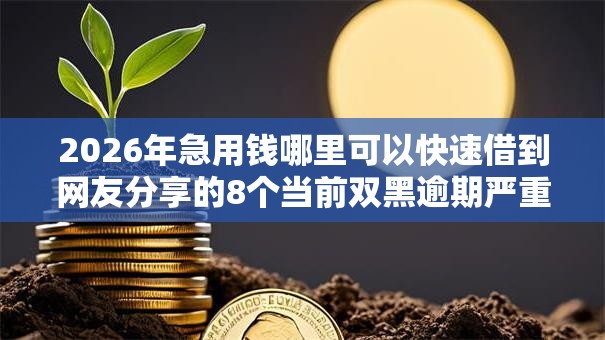 2026年急用钱哪里可以快速借到网友分享的8个当前双黑逾期严重能下款的平台我觉得不错！