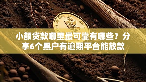 小额贷款哪里最可靠有哪些？分享6个黑户有逾期平台能放款