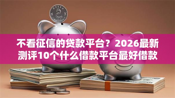 不看征信的贷款平台？2026最新测评10个什么借款平台最好借款通过