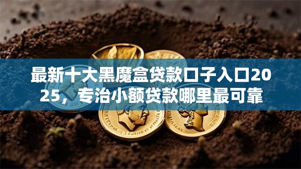 最新十大黑魔盒贷款口子入口2025，专治小额贷款哪里最可靠