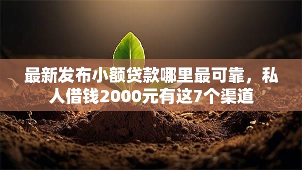 最新发布小额贷款哪里最可靠，私人借钱2000元有这7个渠道