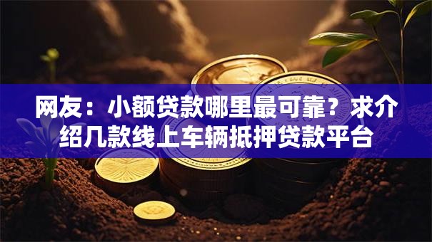 网友：小额贷款哪里最可靠？求介绍几款线上车辆抵押贷款平台