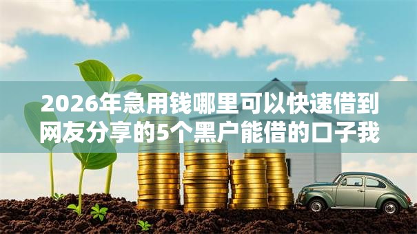 2026年急用钱哪里可以快速借到网友分享的5个黑户能借的口子我觉得不错! 2026年急用钱哪里可以快速借到网友分享的5个黑户能借的口子我觉得不错!