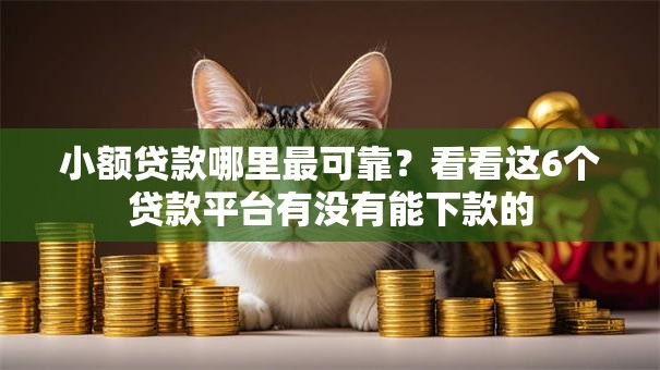 小额贷款哪里最可靠？看看这6个贷款平台有没有能下款的