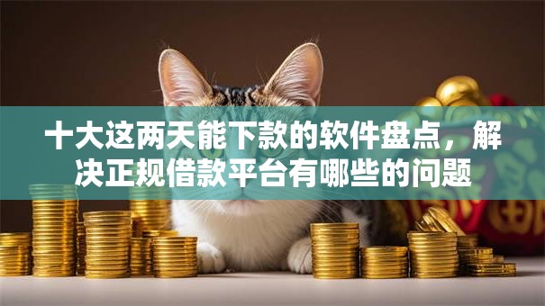 十大这两天能下款的软件盘点，解决正规借款平台有哪些的问题