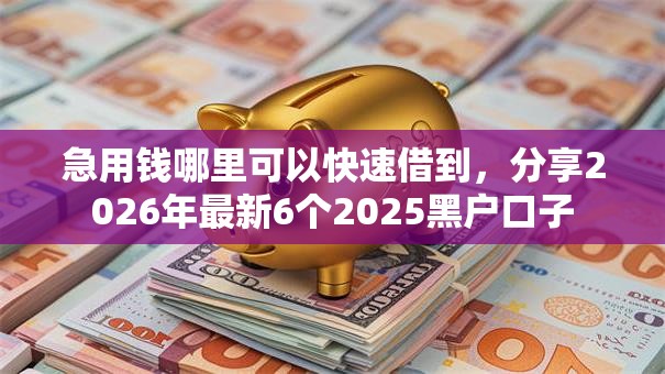 急用钱哪里可以快速借到，分享2026年最新6个2025黑户口子