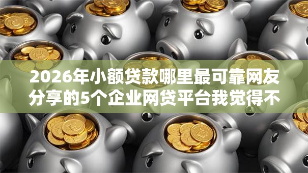 2026年小额贷款哪里最可靠网友分享的5个企业网贷平台我觉得不错！