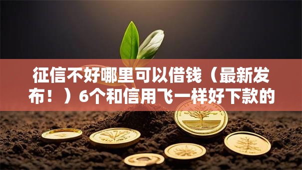 征信不好哪里可以借钱（最新发布！）6个和信用飞一样好下款的口子