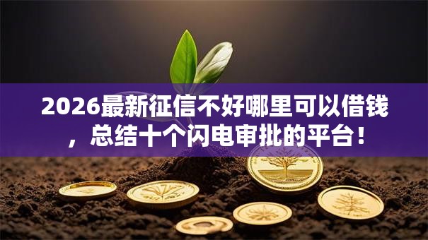 2026最新征信不好哪里可以借钱,总结十个闪电审批的平台! 2026最新征信不好哪里可以借钱,总结十个闪电审批的平台!
