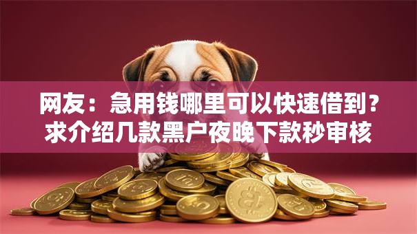 网友:急用钱哪里可以快速借到?求介绍几款黑户夜晚下款秒审核的平台 网友:急用钱哪里可以快速借到?求介绍几款黑户夜晚下款秒审核的平台