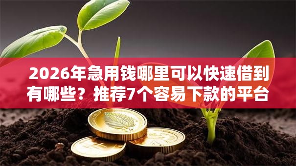 2026年急用钱哪里可以快速借到有哪些?推荐7个容易下款的平台 2026年急用钱哪里可以快速借到有哪些?推荐7个容易下款的平台