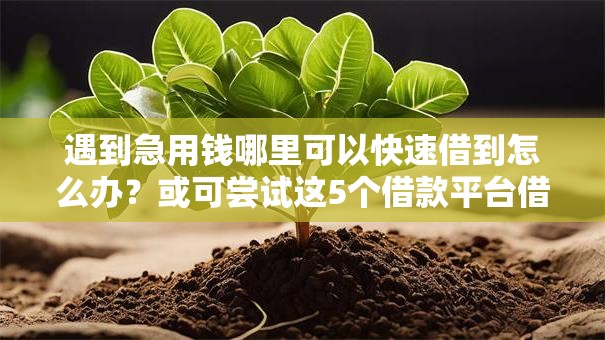 遇到急用钱哪里可以快速借到怎么办?或可尝试这5个借款平台借钱好 遇到急用钱哪里可以快速借到怎么办?或可尝试这5个借款平台借钱好