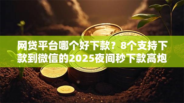 网贷平台哪个好下款？8个支持下款到微信的2025夜间秒下款高炮口子