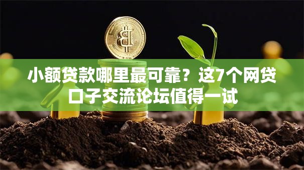 小额贷款哪里最可靠?这7个网贷口子交流论坛值得一试 小额贷款哪里最可靠?这7个网贷口子交流论坛值得一试