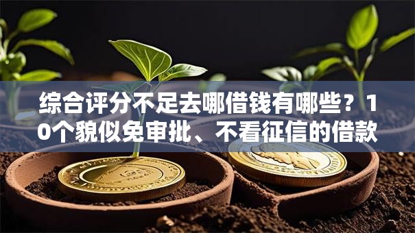综合评分不足去哪借钱有哪些？10个貌似免审批、不看征信的借款平台百分百通过合集
