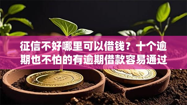 征信不好哪里可以借钱？十个逾期也不怕的有逾期借款容易通过的app