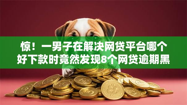 惊!一男子在解决网贷平台哪个好下款时竟然发现8个网贷逾期黑户借钱的平台能借,事后分享了出来 惊!一男子在解决网贷平台哪个好下款时竟然发现8个网贷逾期黑户借钱的平台能借,事后分享了出来