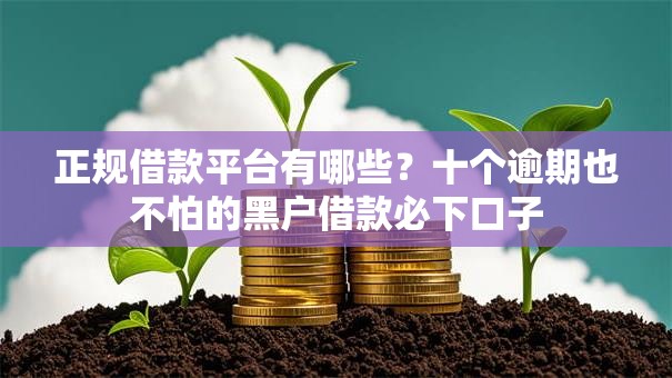 正规借款平台有哪些?十个逾期也不怕的黑户借款必下口子 正规借款平台有哪些?十个逾期也不怕的黑户借款必下口子