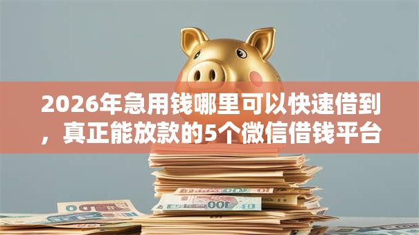 2026年急用钱哪里可以快速借到，真正能放款的5个微信借钱平台推荐