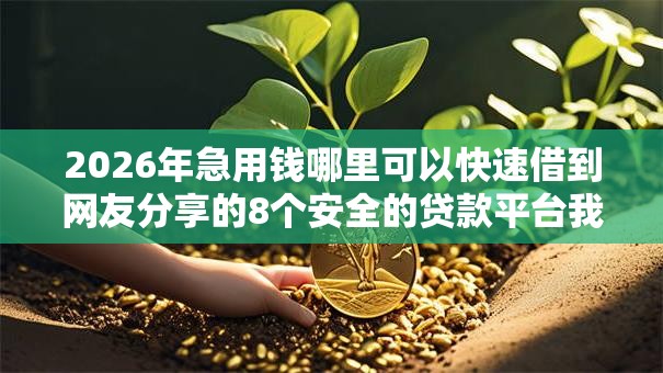 2026年急用钱哪里可以快速借到网友分享的8个安全的贷款平台我觉得不错! 2026年急用钱哪里可以快速借到网友分享的8个安全的贷款平台我觉得不错!